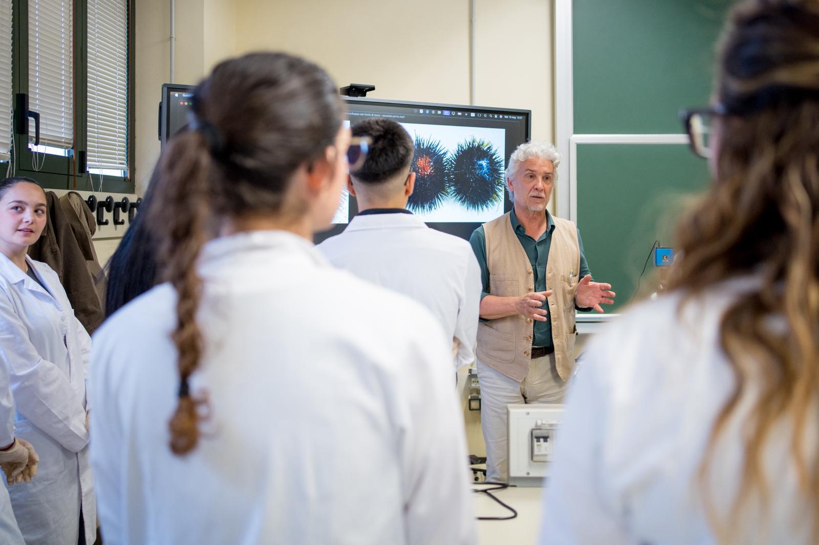 I ricci di mare tornano a popolare le acque salentine: “lo stop va mantenuto” Università del Salento