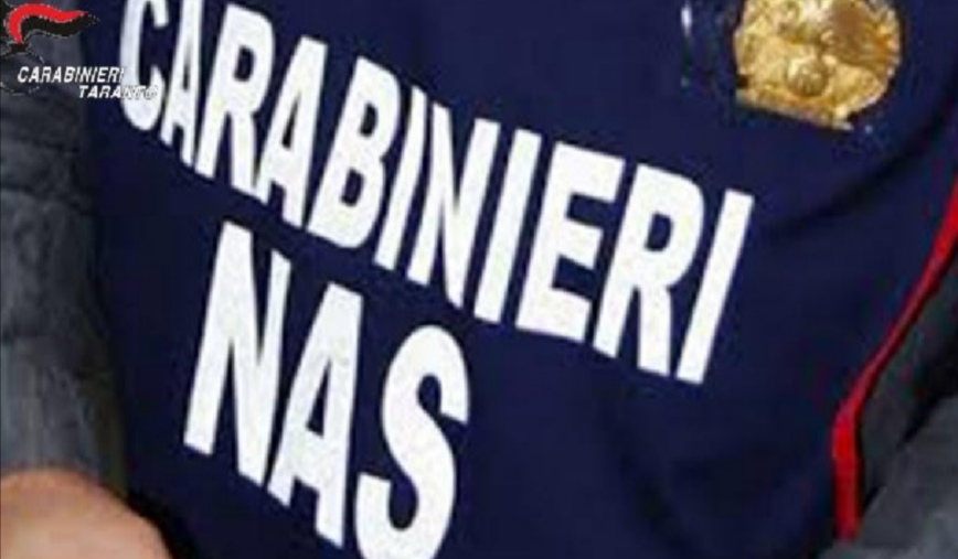 sequestro di circa 12500 confezioni di cibo per cani ad un8217azienda del tarantino nas carabinieri da Noinotizie.it sequestro di circa 12500 confezioni di cibo per cani ad un8217azienda del tarantino nas carabinieri
