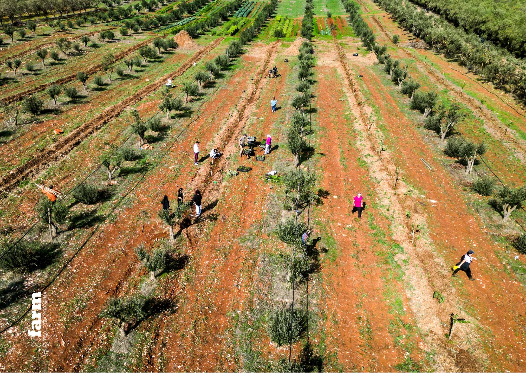 San Vito dei Normanni: parco agroforestale nato da terreni confiscati Il 5 giugno giornata mondiale dell'ambiente, le iniziative dell'istituto buddista italiano Soka Gakkai