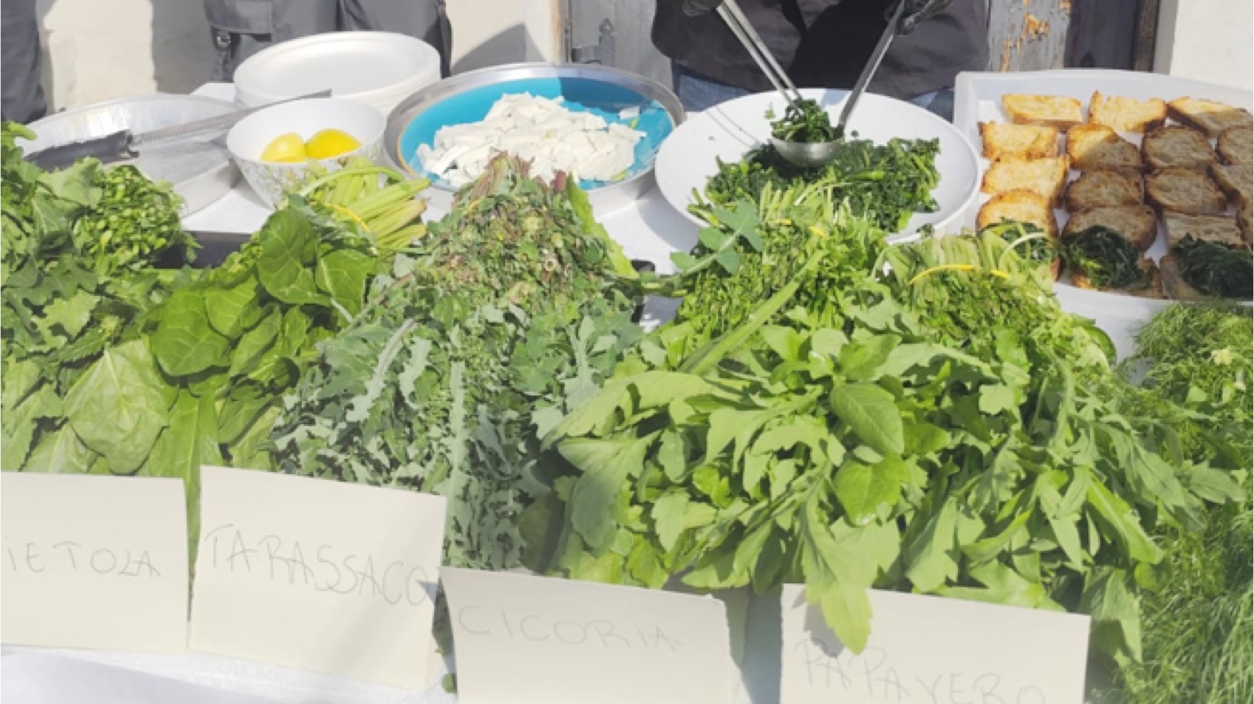 Foggia, “La dieta mediterranea oggi: tradizione che nutre il futuro” Venerdì il convegno organizzato dal club per l'Unesco