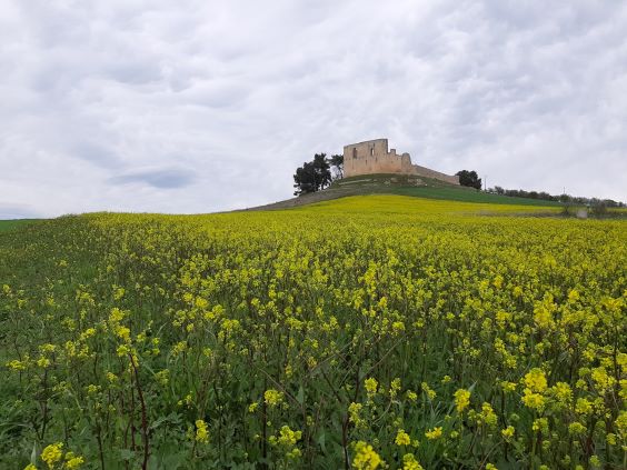 Regione Puglia: 75 milioni di euro per nuovo sviluppo delle cinque Aree Interne Giunta