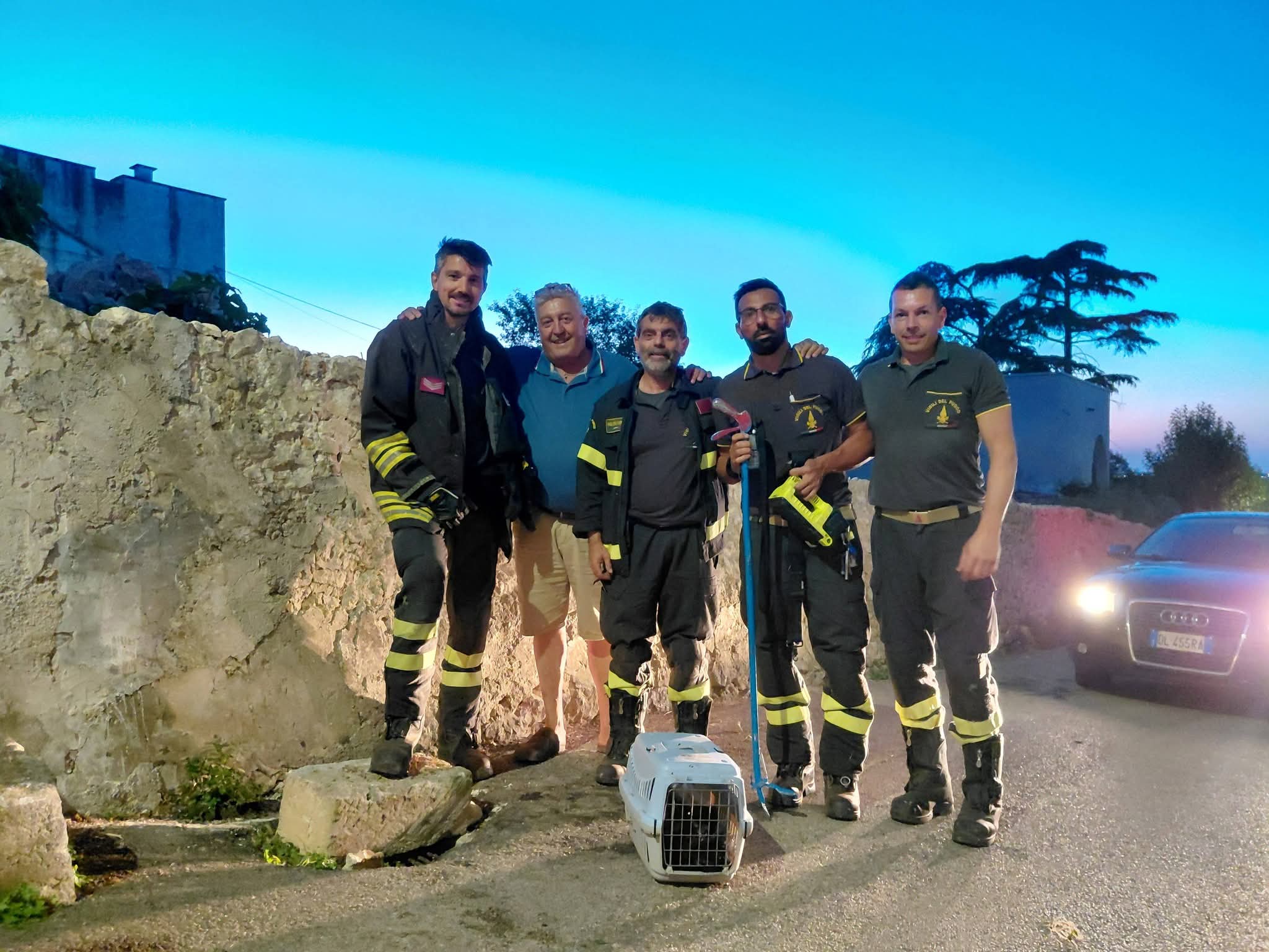 Martina Franca: gatto sordo investito e ferito, caduto in un tombino. Salvato da volontari e pompieri In serata