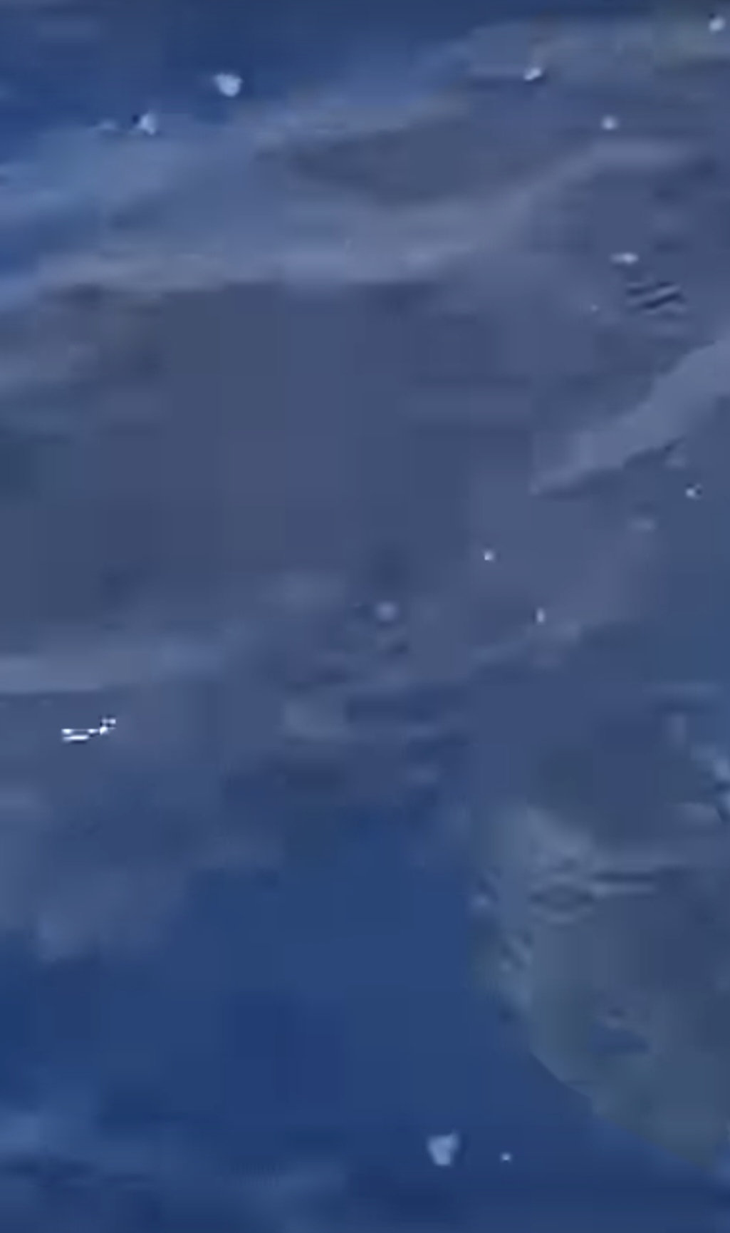 Squalo bianco avvistato al largo del Salento VIDEO Martedì