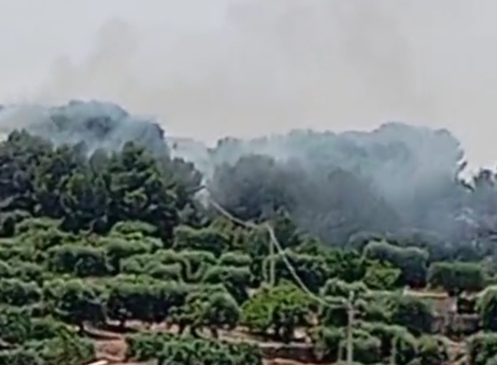 Martina Franca: incendio di vegetazione a ridosso della periferia Altro rogo segnalato a Martano