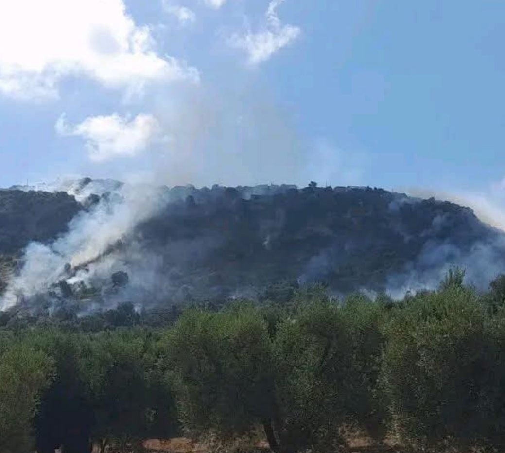 incendio in zona compresa fra ostuni e monti di cisternino area boschiva da Noinotizie.it incendio in zona compresa fra ostuni e monti di cisternino area boschiva