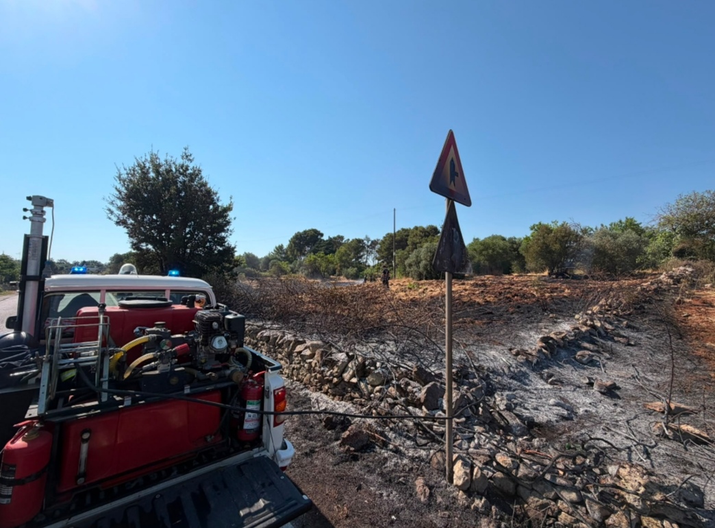 Martina Franca: incendio di vegetazione Nel pomeriggio