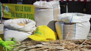 Sit in alla Prefettura di Bari degli agricoltori contro crisi grano e olio Sit in alla Prefettura di Bari degli agricoltori contro crisi grano e olio
