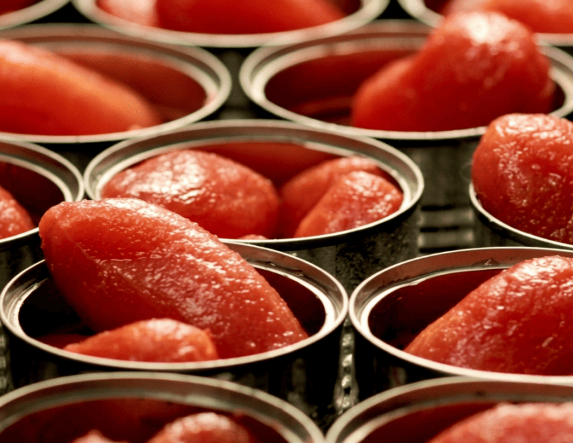 Pomodoro da industria: raggiunta l’intesa nel bacino centro-sud, i prezzi medi di riferimento Campagna di trasformazione, tra i 140 e i 210 euro/tonnellata