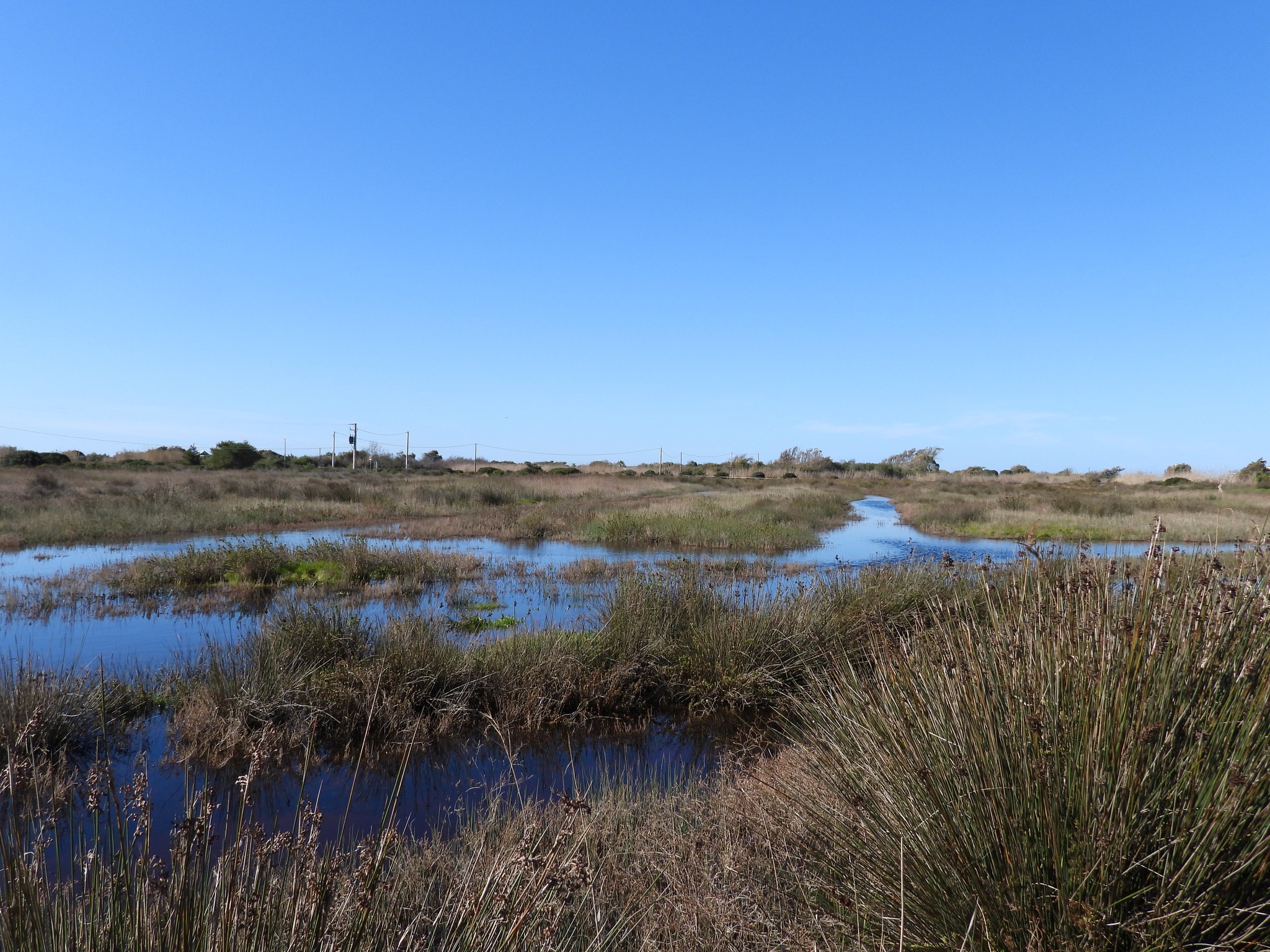 Parco di Ugento in un progetto europeo Wetland4Change
