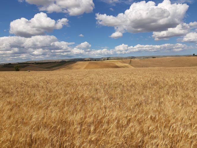 basilicata ambiente stanziamento per la promozione dei territori giunta regionale da Noinotizie.it basilicata ambiente stanziamento per la promozione dei territori giunta regionale