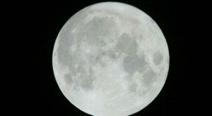 Luna del cervo Luna del cervo