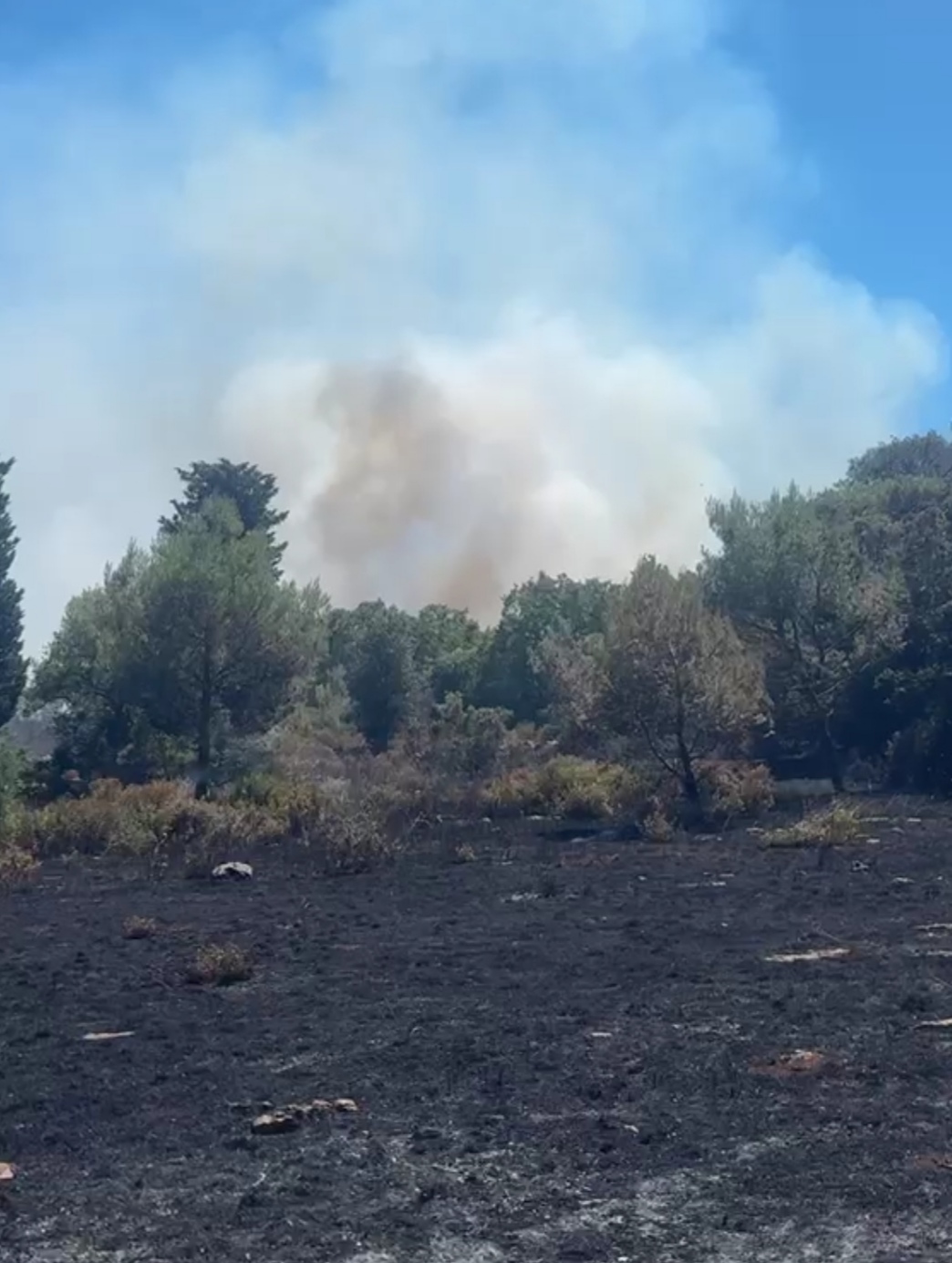 martina franca ancora un incendio grave evacuate case oltre ai pompieri mobilitate tutte le associazioni di protezione civile locali da Noinotizie.it martina franca ancora un incendio grave evacuate case oltre ai pompieri mobilitate tutte le associazioni di protezione civile locali