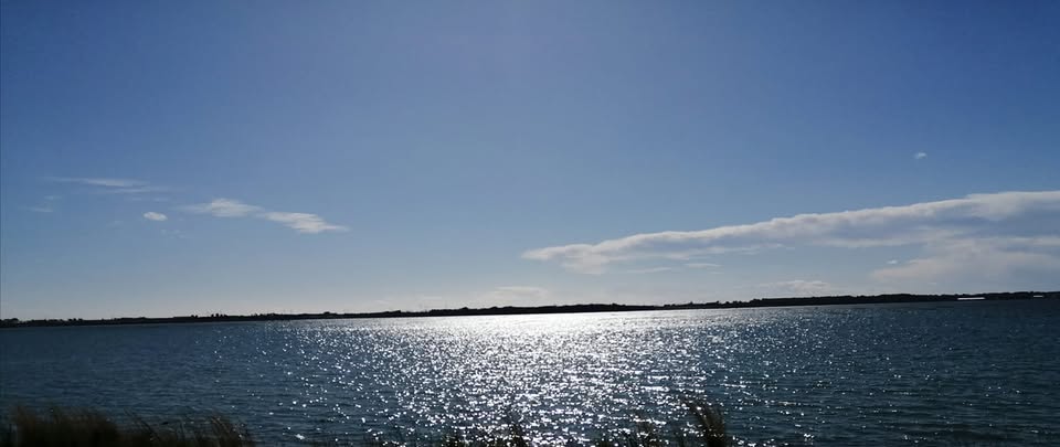 taranto litoranea salentina mezzi pubblici e viabilit224 la sicurezza non pu242 pi249 attendere sindacati da Noinotizie.it taranto litoranea salentina mezzi pubblici e viabilit224 la sicurezza non pu242 pi249 attendere sindacati