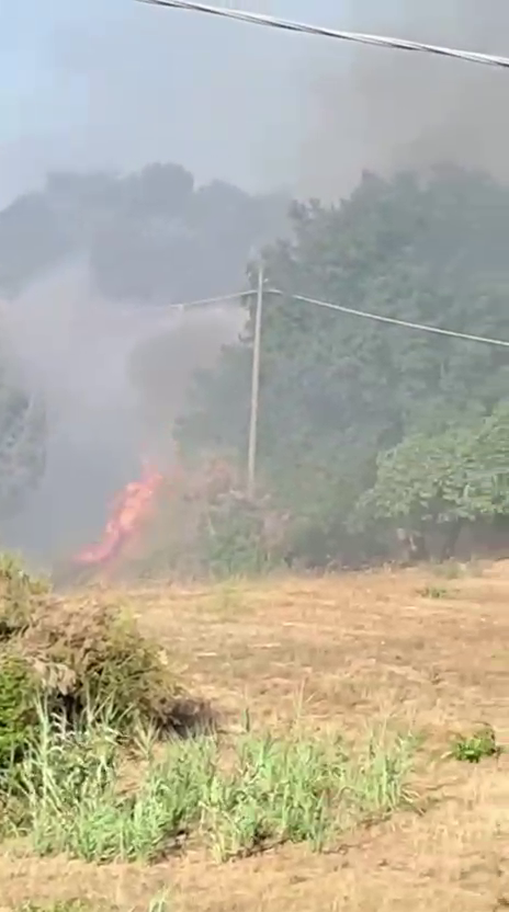 Martina Franca: incendio nell’agro Nel pomeriggio