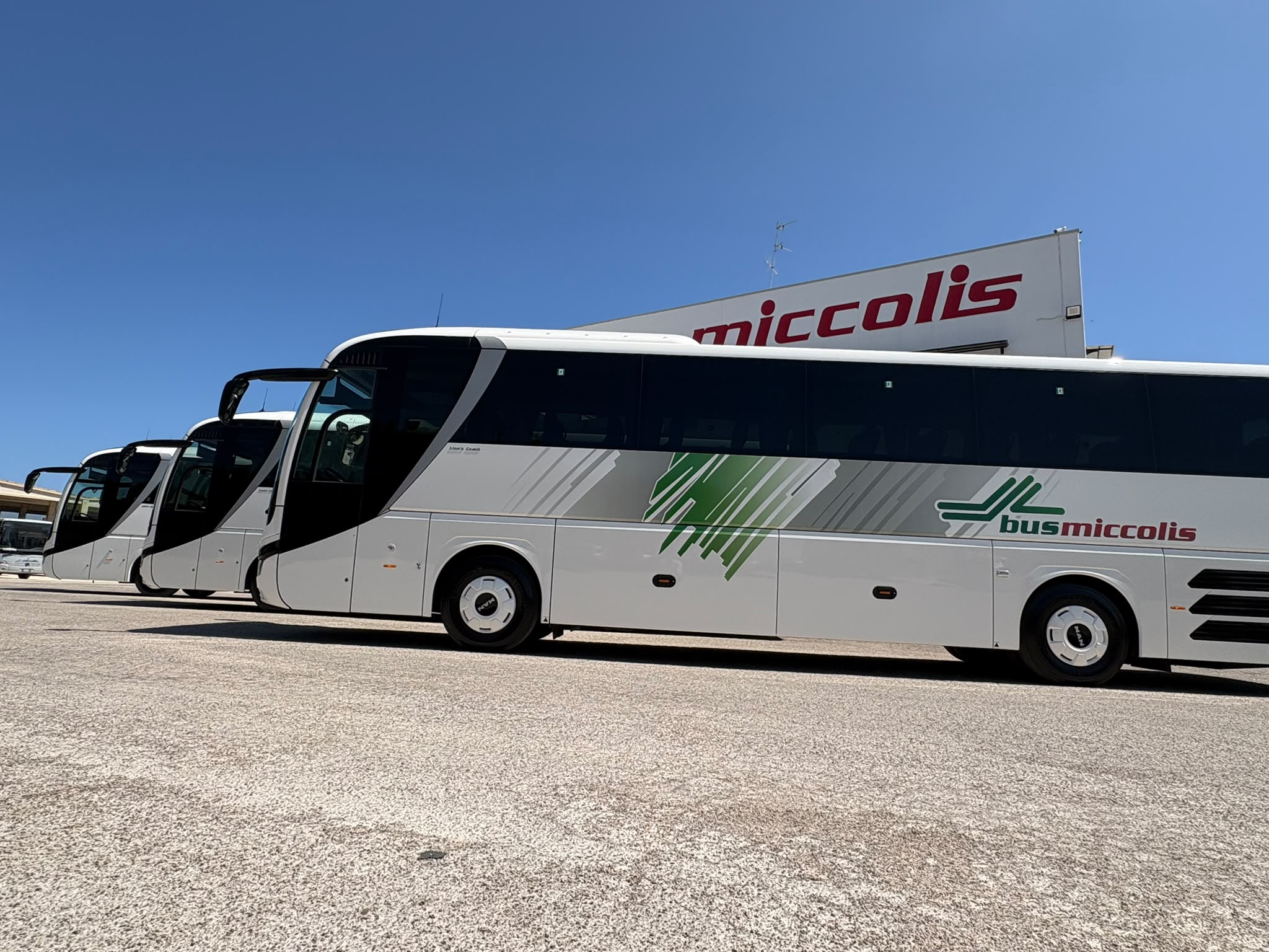 Miccolis: sei nuovi pullman granturismo per le lunghe percorrenze Si arricchisce la flotta