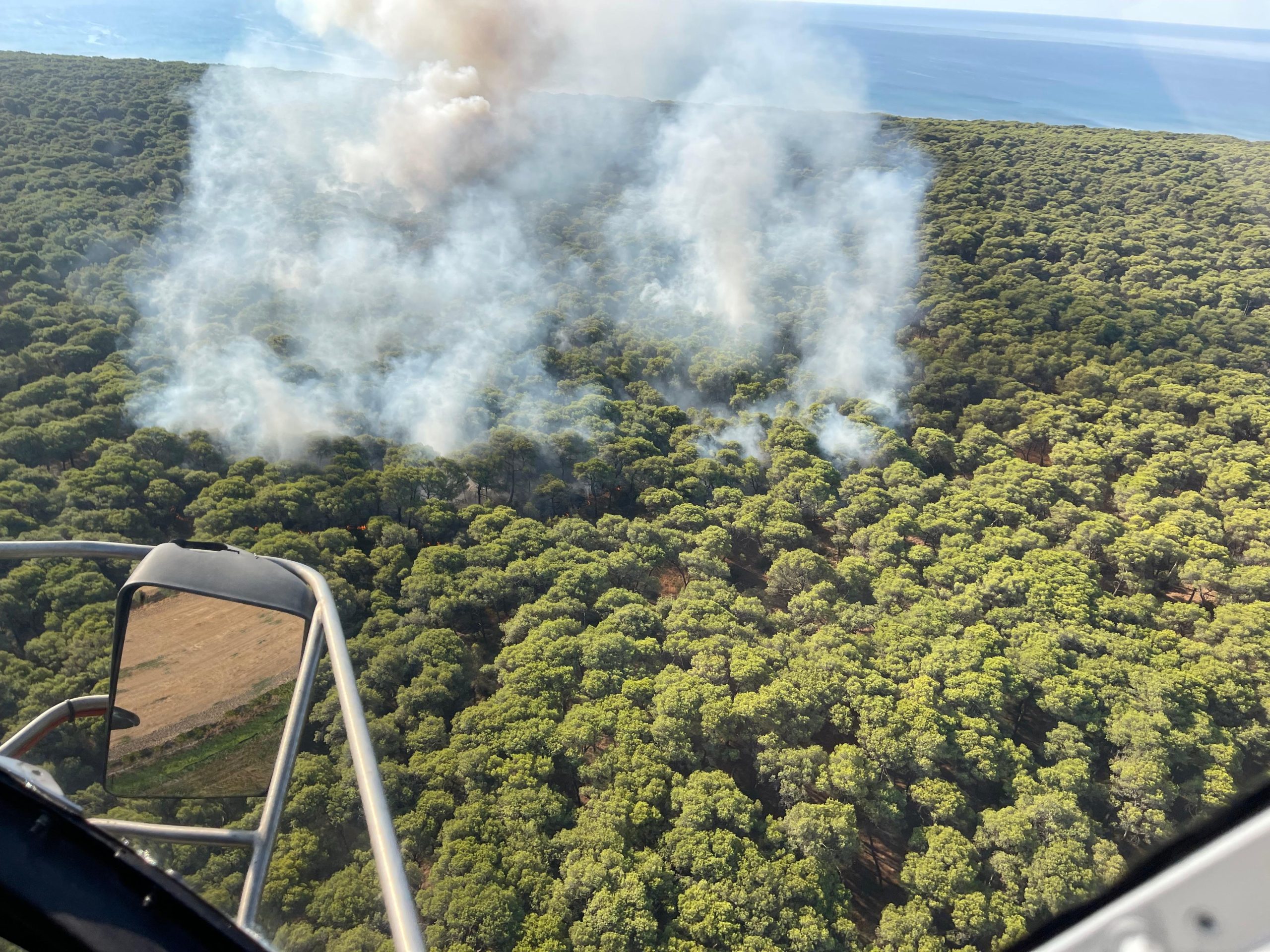 pino di lenne incendio stamattina da Noinotizie.it pino di lenne incendio stamattina