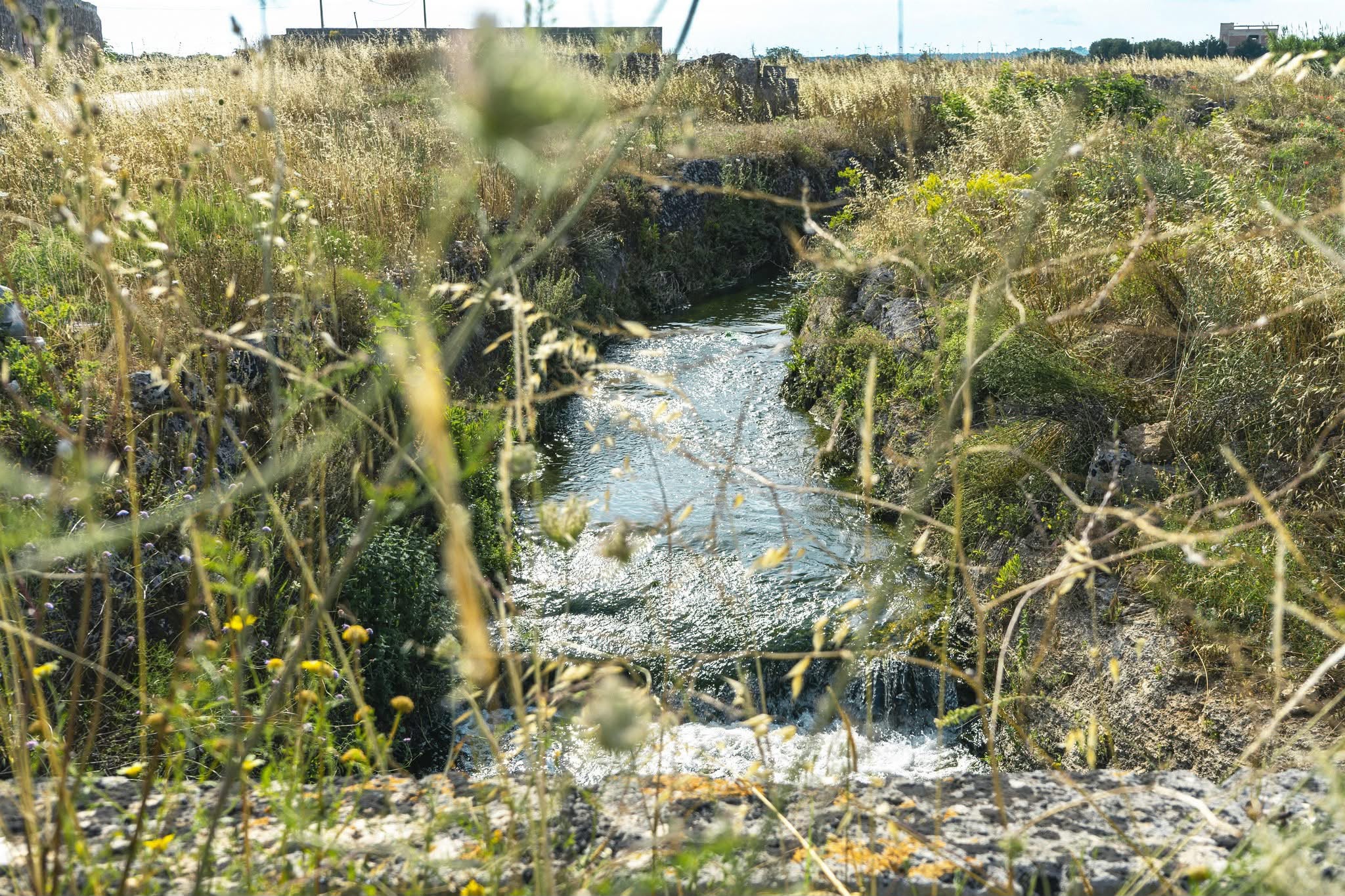 Puglia: oltre venticinque milioni per il Canale Reale nel brindisino Giunta regionale