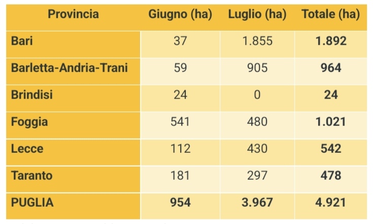 Puglia, incendi: in due mesi circa cinquemila ettari di territorio in fumo, incremento a luglio Coldiretti