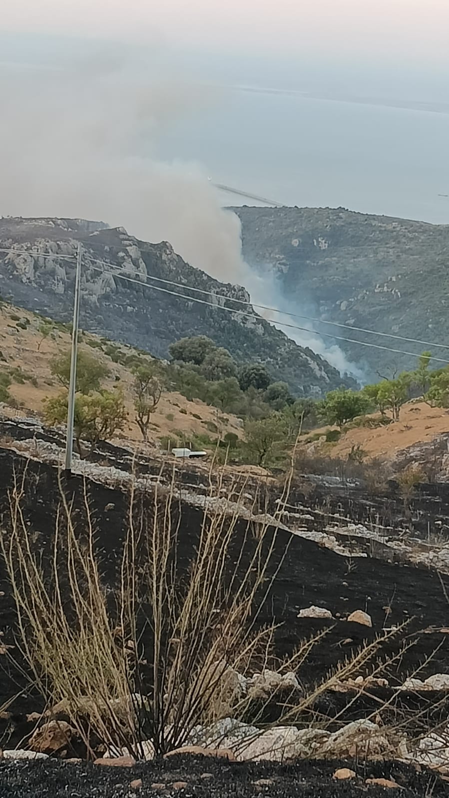 Monte Sant’Angelo: alba Ancora l'incendio