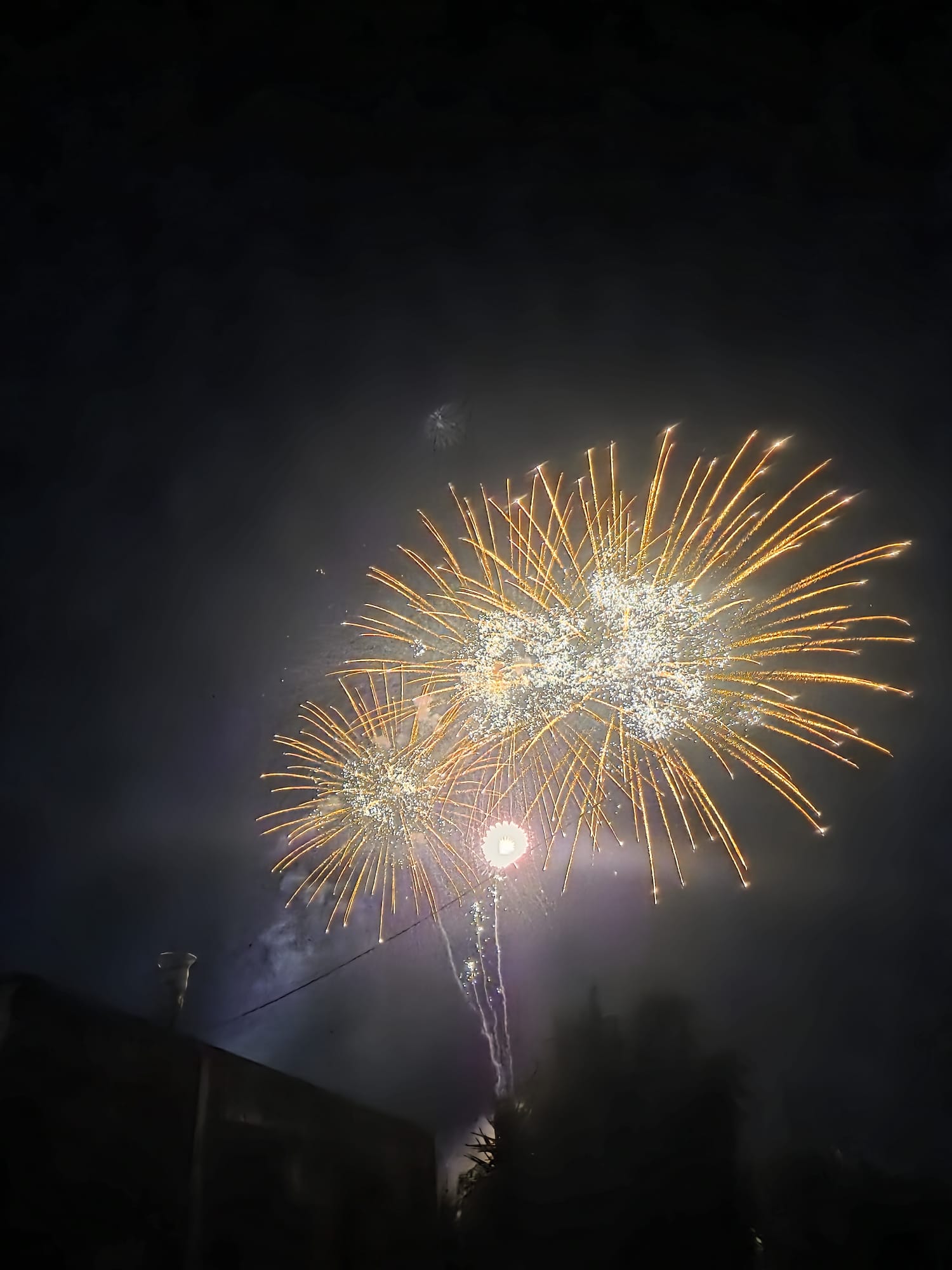 Locorotondo, sagra pirotecnica: al primo fuoco il premio della giuria tecnica, al terzo quello della giuria popolare Si è svolta nella notte la 66/ma edizione
