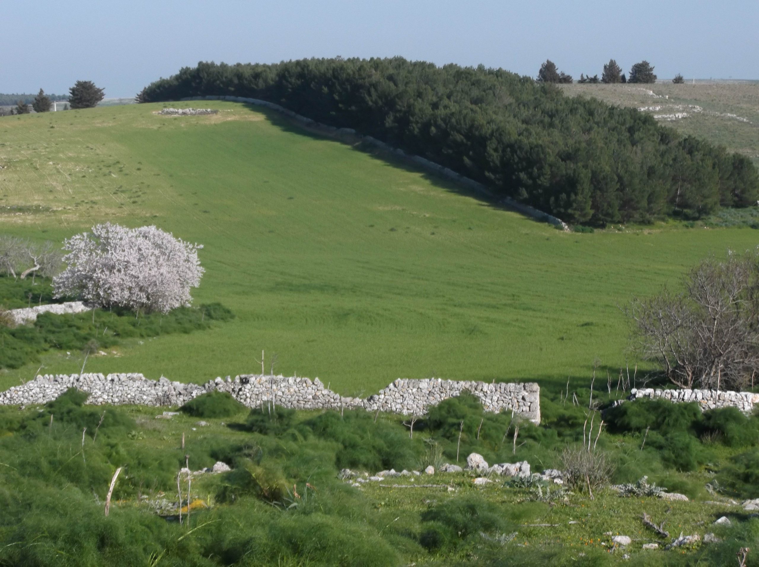 regione puglia aree interne e costruzione di nuove opportunit224 di sviluppo provvedimenti da Noinotizie.it regione puglia aree interne e costruzione di nuove opportunit224 di sviluppo provvedimenti