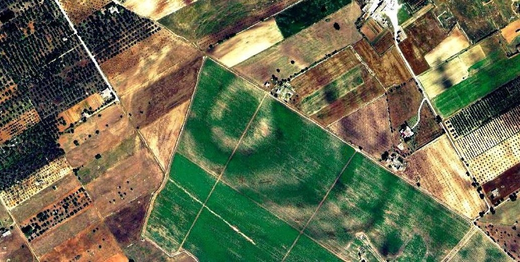 anelli di arneo insediamento neolitico in territorio di nard242 sia fermato il mega impianto fotovoltaico comitato per la salvaguaria dell atlantide salentina da Noinotizie.it anelli di arneo insediamento neolitico in territorio di nard242 sia fermato il mega impianto fotovoltaico comitato per la salvaguaria dell atlantide salentina