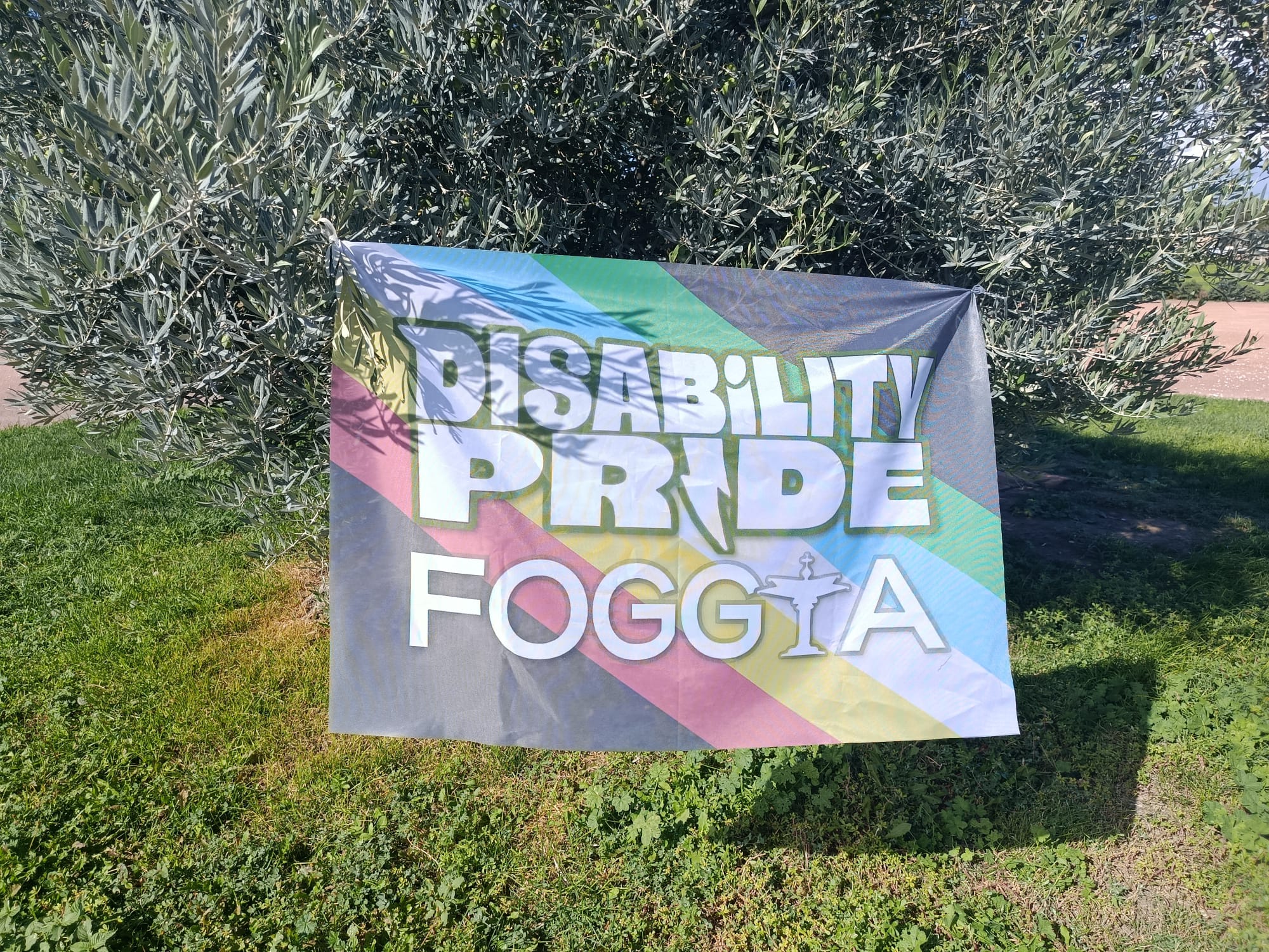 foggia sabato il disability pride puglia 2026 programma da Noinotizie.it foggia sabato il disability pride puglia 2026 programma