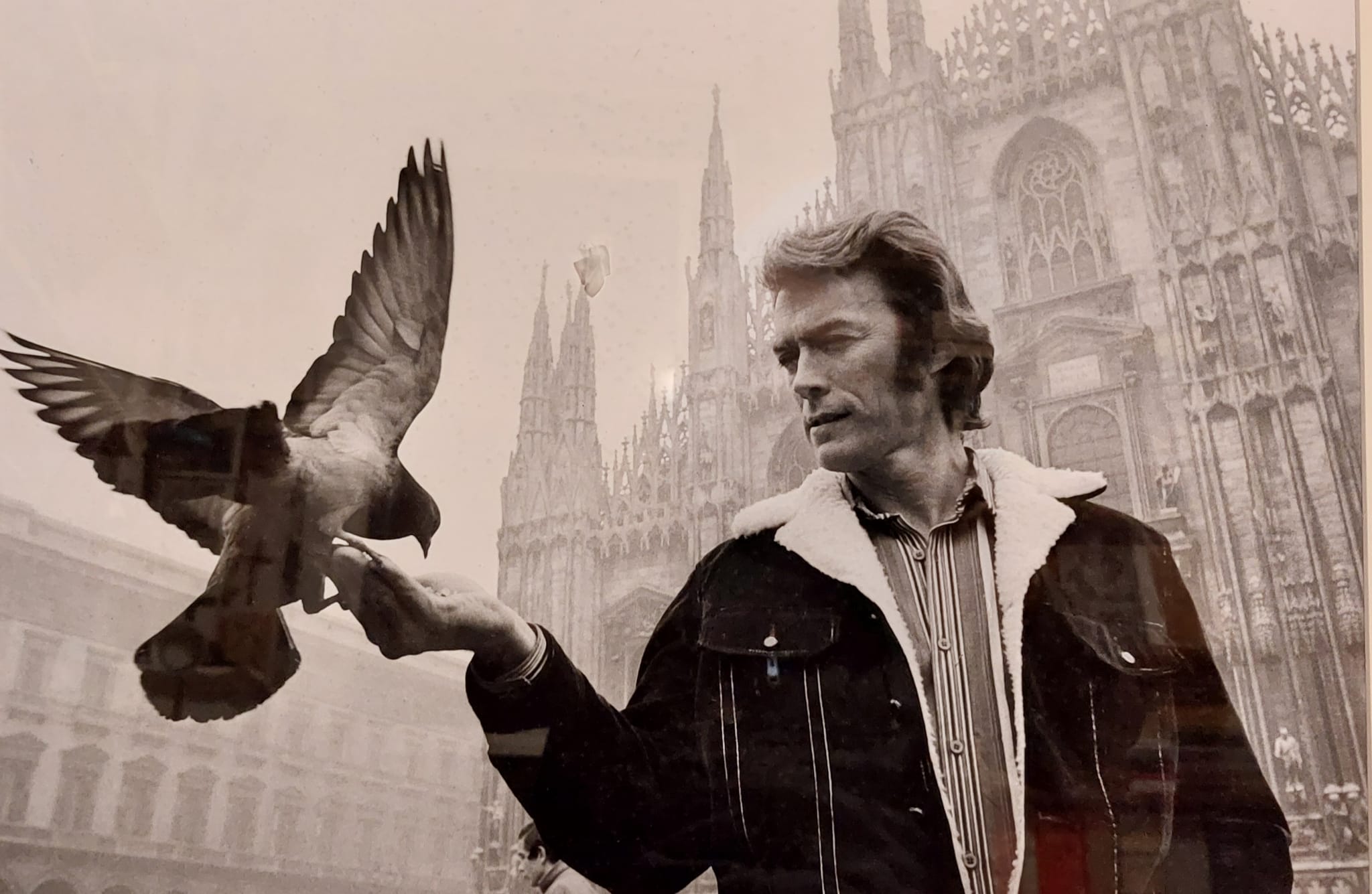 il barlettano mimmo dabbrescia e la foto di clint eastwood a milano in piazza duomo personalit224 eclettica spazia nelle varie forme d arte da Noinotizie.it il barlettano mimmo dabbrescia e la foto di clint eastwood a milano in piazza duomo personalit224 eclettica spazia nelle varie forme d arte