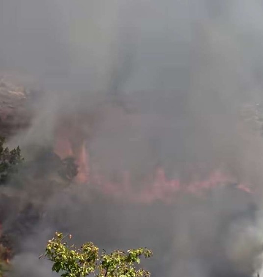 san marco in lamis incendio nel primo pomeriggio da Noinotizie.it san marco in lamis incendio nel primo pomeriggio
