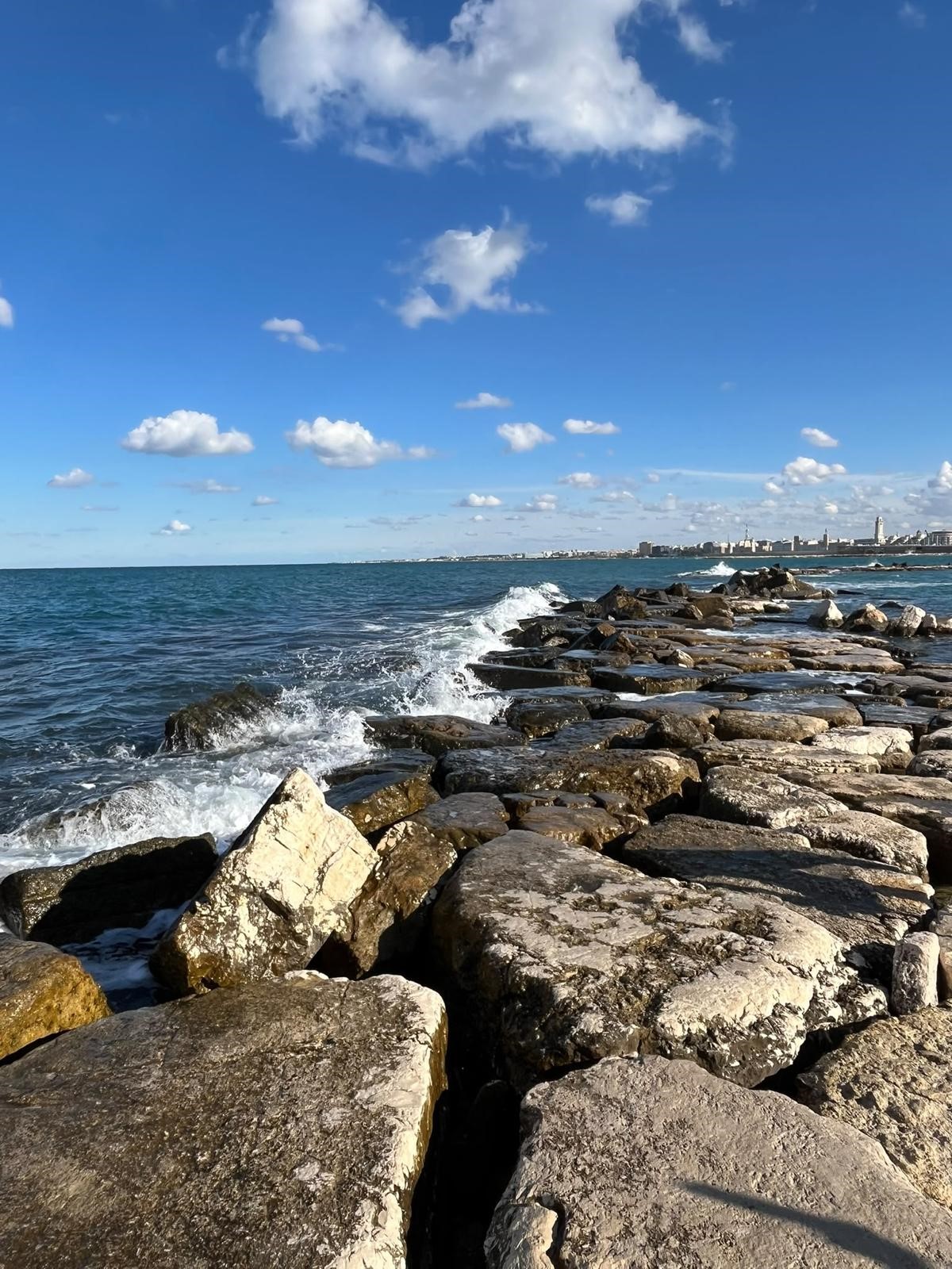 erosione proteggere le coste che cambiano dalla puglia una sfida europea politecnico di bari a barletta manfredonia e margherita di savoia il rischio pi249 elevato da Noinotizie.it erosione proteggere le coste che cambiano dalla puglia una sfida europea politecnico di bari a barletta manfredonia e margherita di savoia il rischio pi249 elevato
