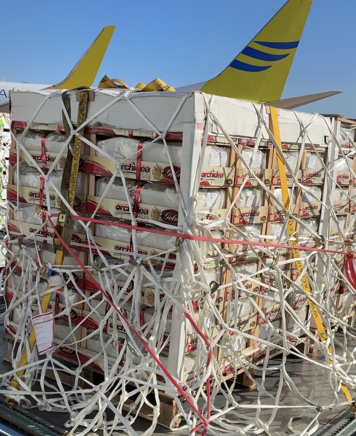 grottaglie primo volo cargo agroalimentare oggi il decollo da Noinotizie.it grottaglie primo volo cargo agroalimentare oggi il decollo