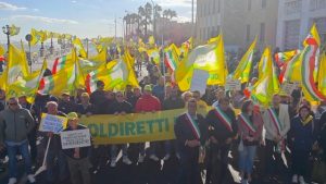Migliaia di agricolrori a Bari con i trattori contro la crisi dell'agricoltura Migliaia di agricolrori a Bari con i trattori contro la crisi dell'agricoltura
