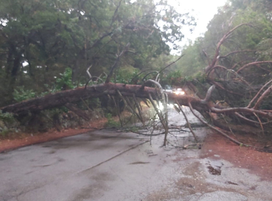 martina franca strada provinciale ieri maltempo la puglia fra le quattordici regioni oggi in allerta per temporali protezione civile previsioni meteo codice arancione per lazio e campania da Noinotizie.it martina franca strada provinciale ieri maltempo la puglia fra le quattordici regioni oggi in allerta per temporali protezione civile previsioni meteo codice arancione per lazio e campania
