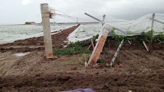 ginosa maltempo tromba d8217aria sradica tendoni e vigneti molta pioggia in puglia da Noinotizie.it ginosa maltempo tromba d8217aria sradica tendoni e vigneti molta pioggia in puglia
