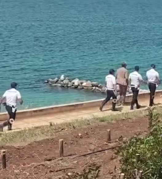 lungomare di taranto aggrediti due agenti della polizia locale feriti ieri pomeriggio da Noinotizie.it lungomare di taranto aggrediti due agenti della polizia locale feriti ieri pomeriggio
